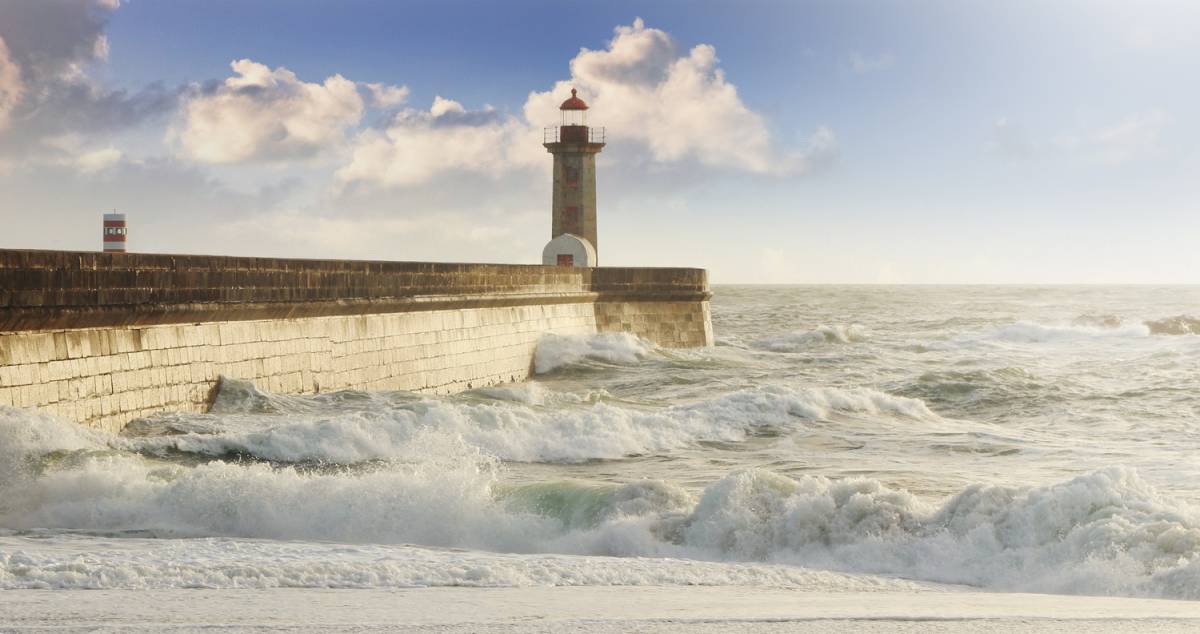Canvas 0345 50×100
