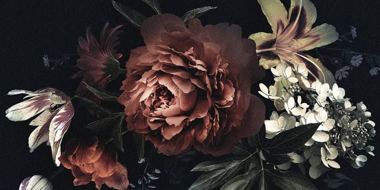 Canvas 0355 50×100