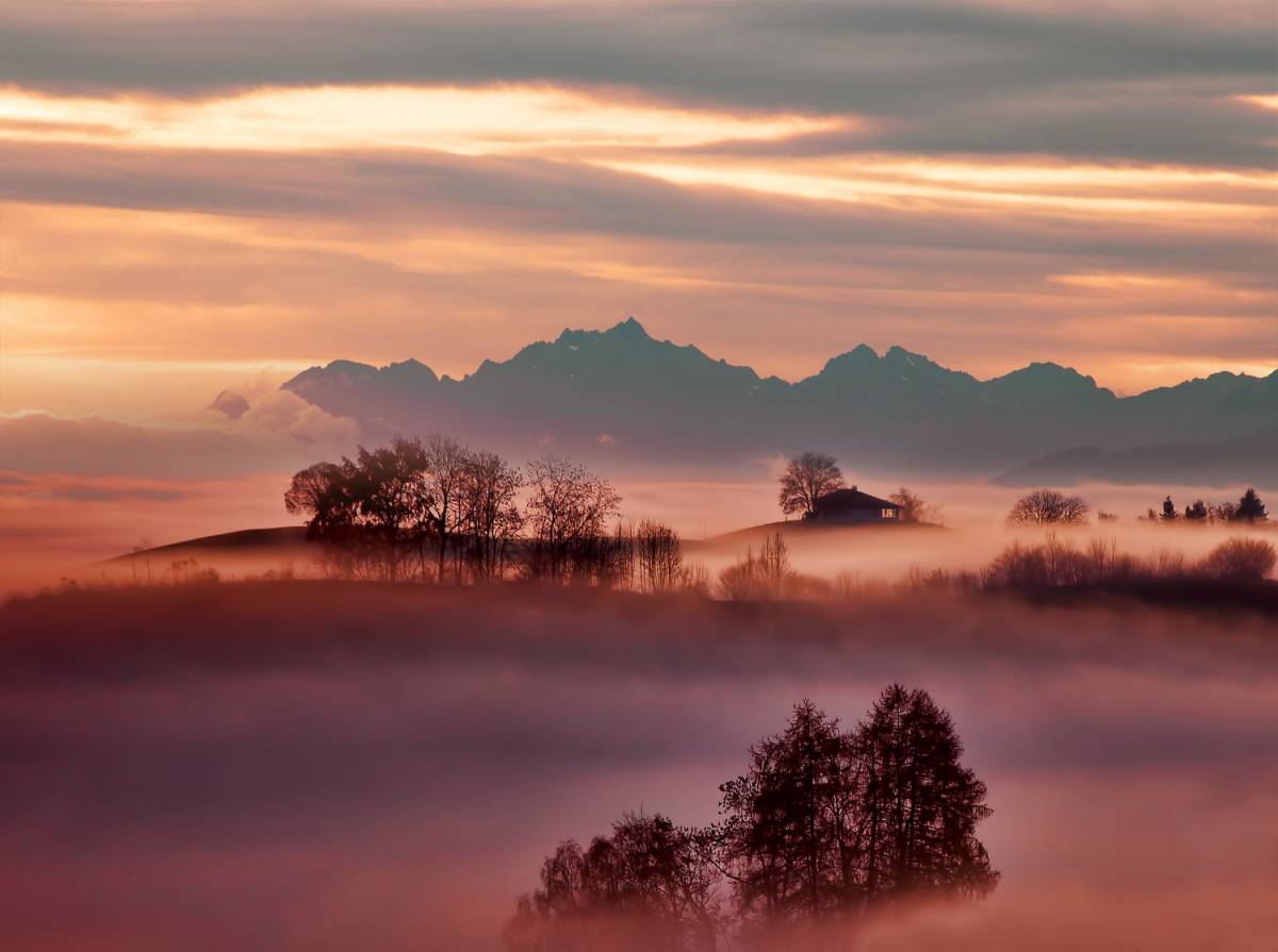 Canvas 0367 80×110