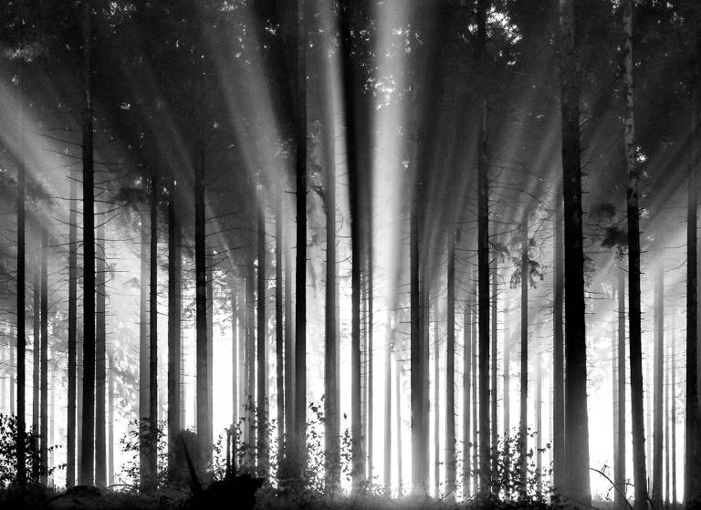 Canvas 0372 80×110