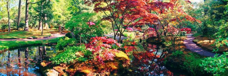 Canvas 0373 50×150