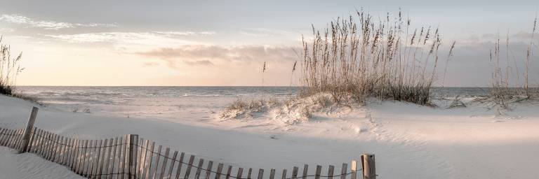 Canvas 0378 50×150