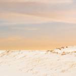 Canvas 0379 50×150
