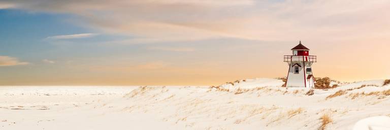 Canvas 0379 50×150