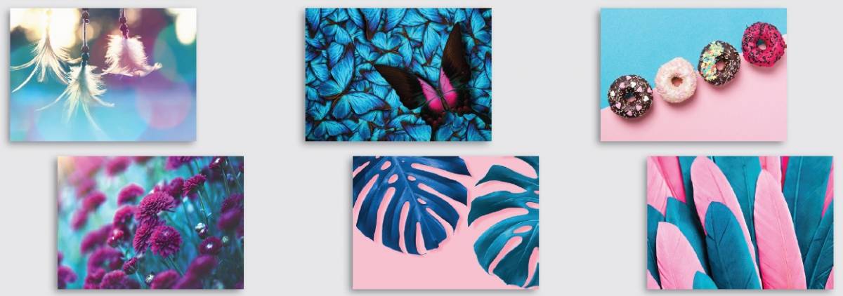 Canvas mixo 6  25×35 rosa/azzurro