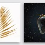 Canvas mixo 6  25×25 nero/oro