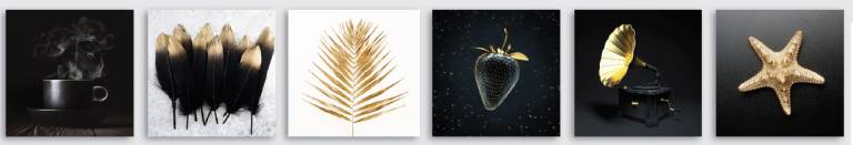 Canvas mixo 6  25×25 nero/oro